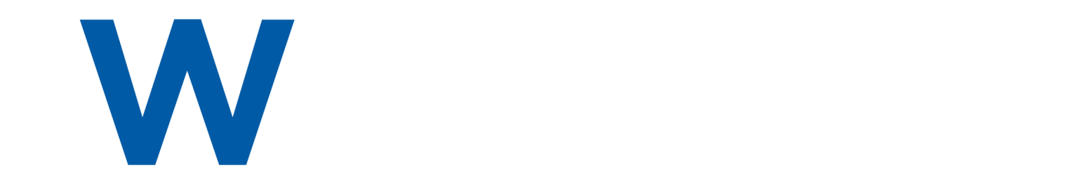 logo wmoney copiar